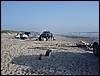 DSC00167.JPG